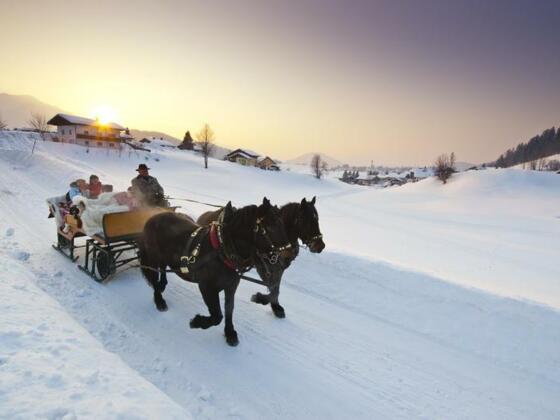 Pferdeschlittenfahrten Schmiedbauernhof