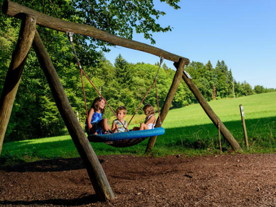 Schaukelweg Anthering 