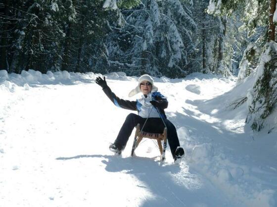 Rodelbahn in Richtung Faistenauer Schafberg