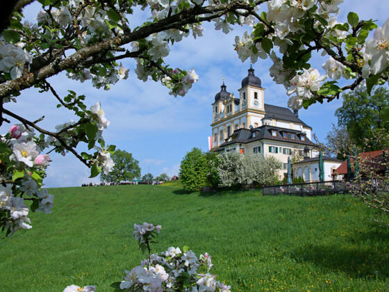 Wallfahrstkriche Maria Plain