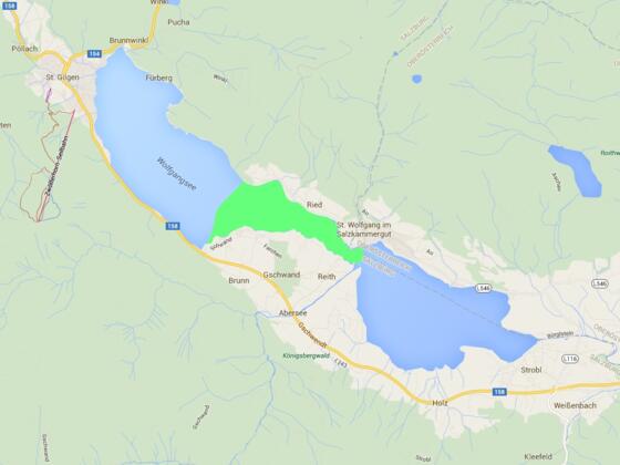 Fischen Wolfgangsee - Westteil Ried bis Schwand