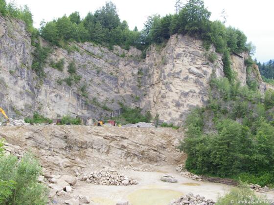Die Biber in Brannenburg