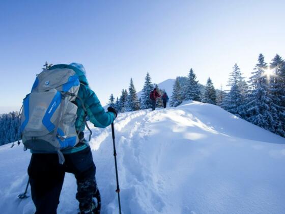 Schneeschuhwandern in der Alpenregion