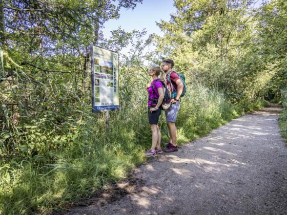 Wandern im Naturschutzgebiet Eggstätt-Hemhofer Seenplatte