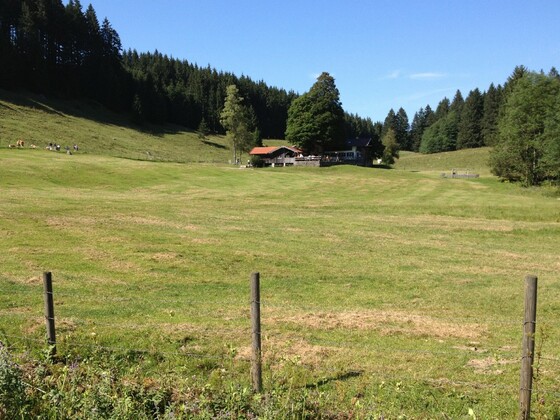Wirtsalm unterhalb des Wendelsteins