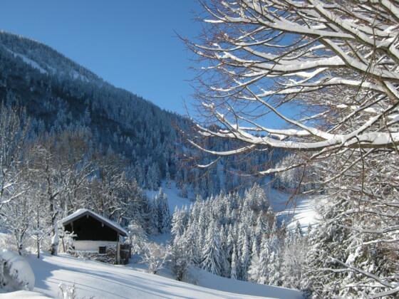 Schmidalm im Winter