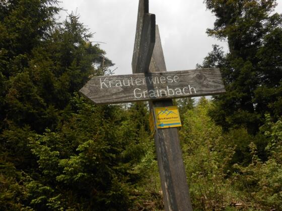 Wegweiser Kräuterwiese