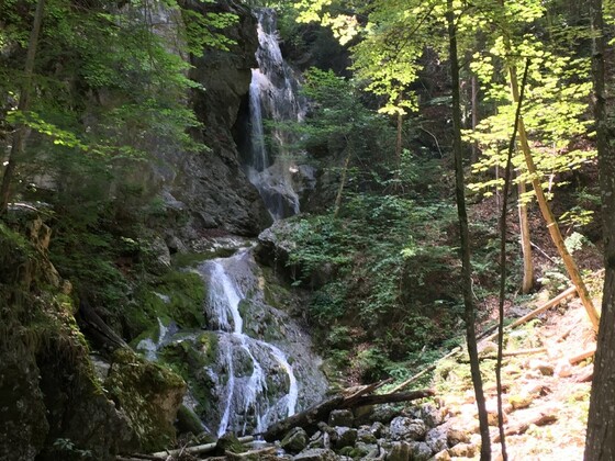 Wasserfall Wolfsschlucht
