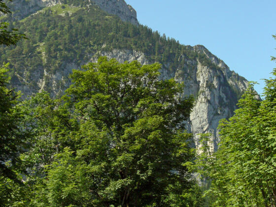 Weg auf den Breitenstein