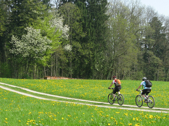 Immer wieder fahren wir an Kapellen vorbei, die eine gute Gelegenheit sind mal Einkehr zu halten!