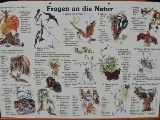 Übersichtstafel Naturerlebnispfad Brannenburg