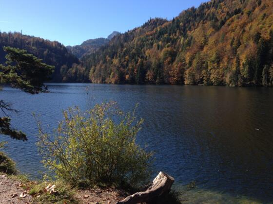 Hechtsee im Herbst