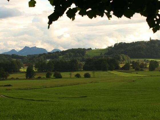 Thalkirchner (Antworter) Moos