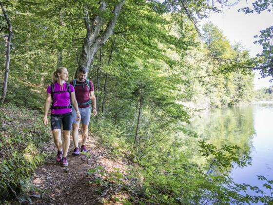 Wandern am Langbürgner See