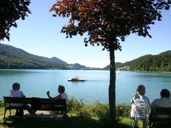 Blick auf den Fuschlsee