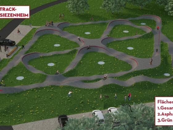 Pumtrack Wals/Viehhausen