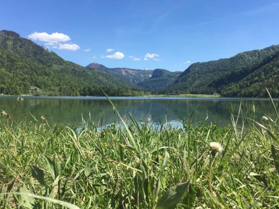 Naturstrand Hintersee