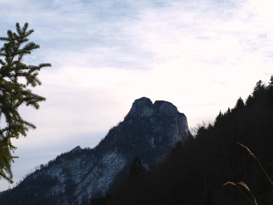 "Vitz Sparber" mit Blick zum Sparbergipfel 1502m.