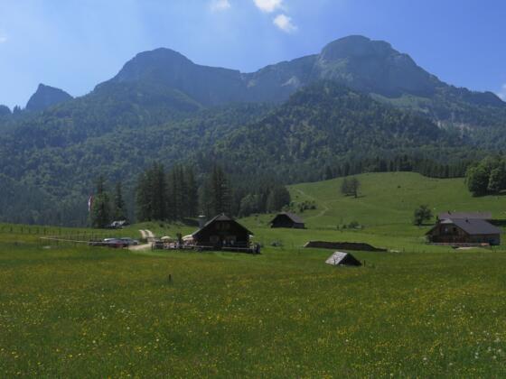 Eisenaueralm