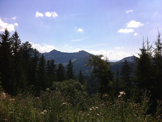 Gruberhorn und Regenspitz von der Königsbergalm