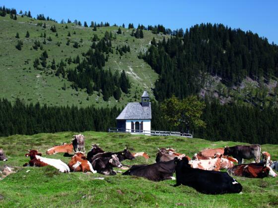 Panoramahütte Postalm