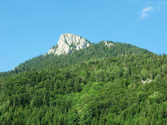 Schober und Frauenkopf