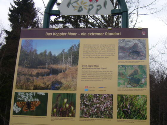 Koppler Moor