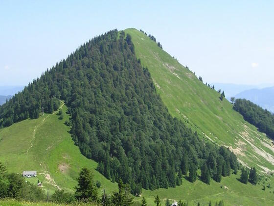 Faistenauer Schafberg