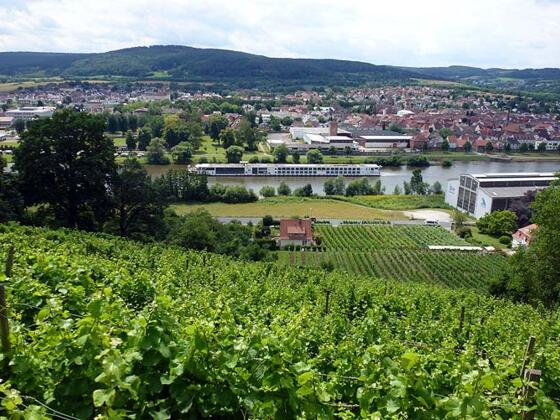 Vom Rotwein Wanderweg hat man stets einen schönen Blick aufs Maintal.