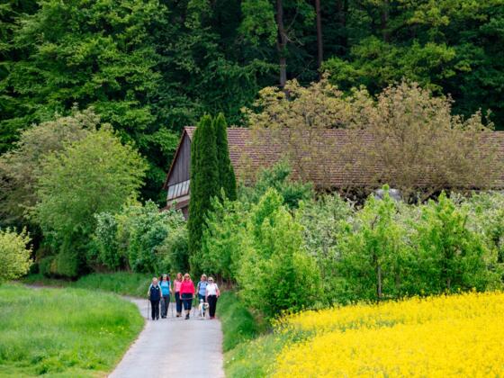 Wandern bei Leidersbach