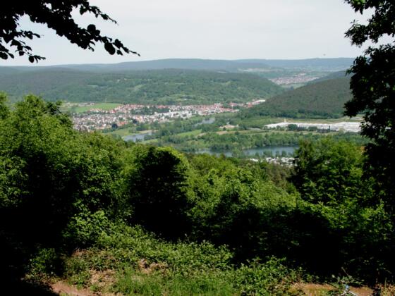 Aussicht nach Collenberg
