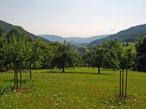 Blick ins Maintal