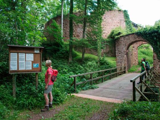 Eingang Burgruine Wildenstein