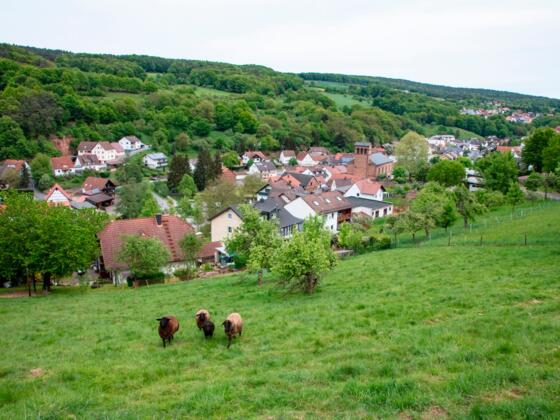 Aussicht auf Leidersbach