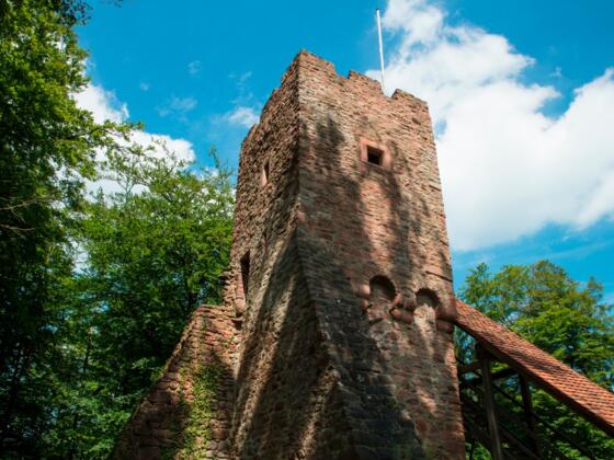 Burgruine Wildenstein