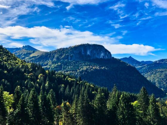 Blick zum Feichtenstein