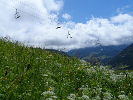 Blick ins Tal (bei Annaberg)