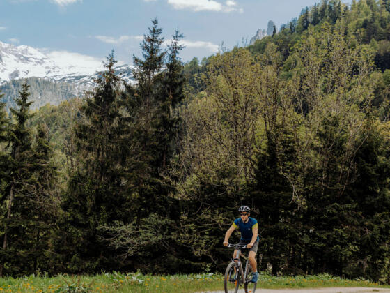 Mountainbike Edtalm