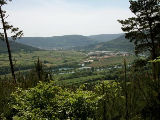 Aussicht nach Miltenberg