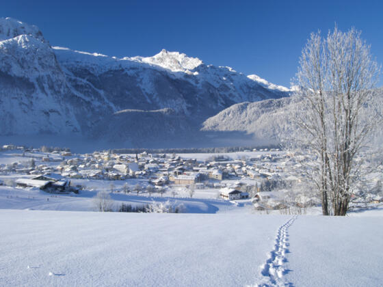 Blick auf Abtenau vom Wimmwald