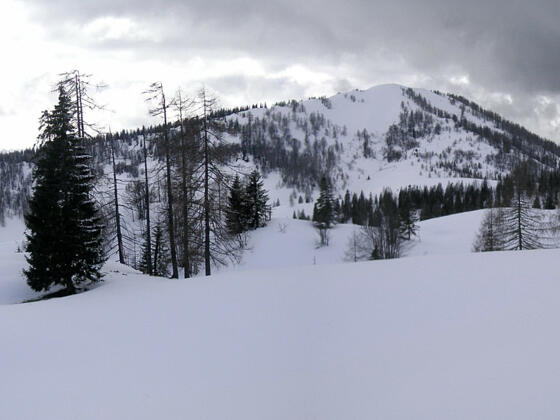 Taborberg Ostflanke von der Thurnaualm