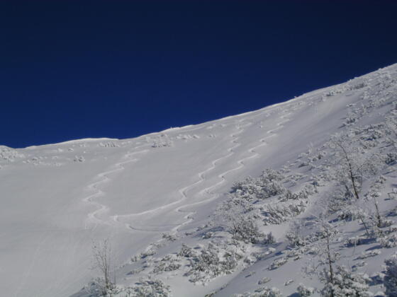 Irgendwo findet man immer Pulverschnee vor.