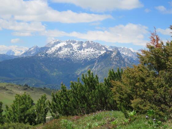 Aussicht vom Wandergebiet Zwieselalm