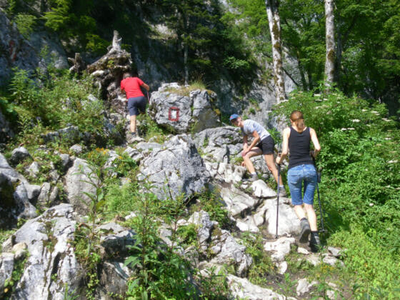 kurze Schrofenstufen