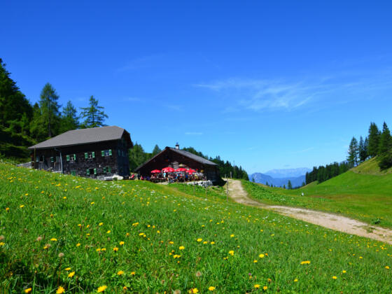 Zwieselalmhütte