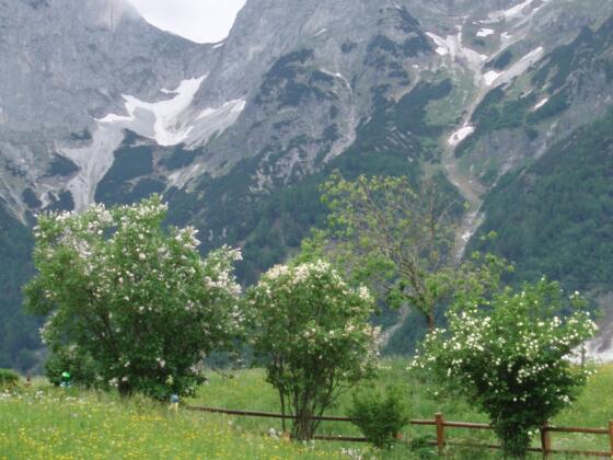 Tennengebirge zwischen Abtenau und Annaberg