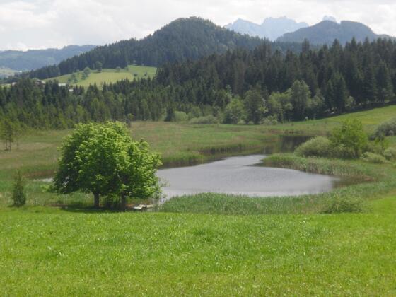 Mühlrain-Egelsee-Rundwanderweg