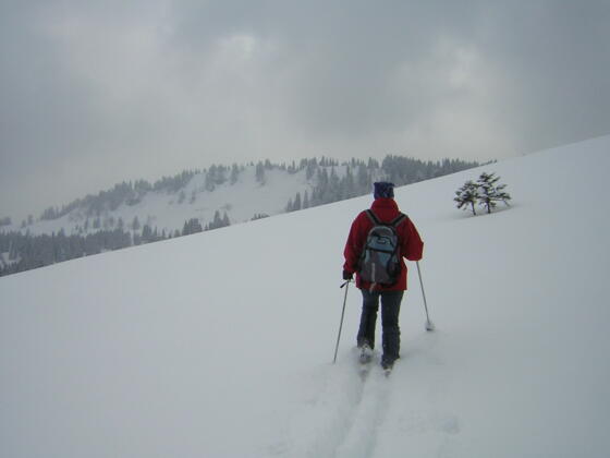 am Pillsteinsattel, dahinter der Illingerberg
