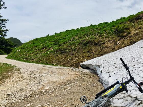 Am Weg zum Zwölferhorn