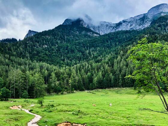 Eisenaualm mit Schafberg